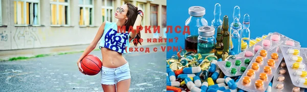 ГАЛЛЮЦИНОГЕННЫЕ ГРИБЫ Алексин