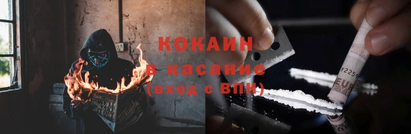 соль ск Алзамай