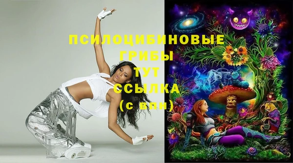 соль курить ск Алексеевка