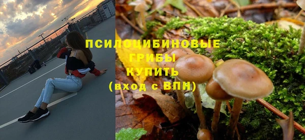 ГАЛЛЮЦИНОГЕННЫЕ ГРИБЫ Алексин