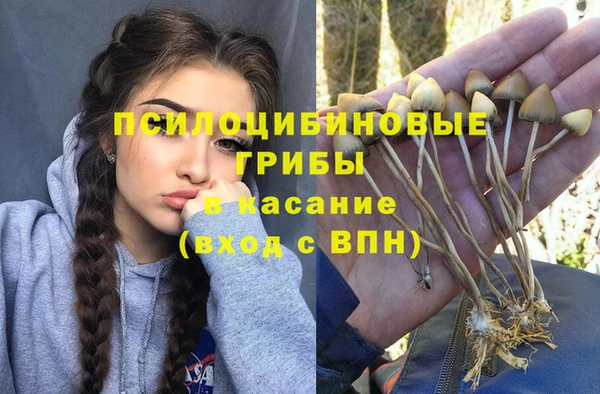 метадон Абдулино