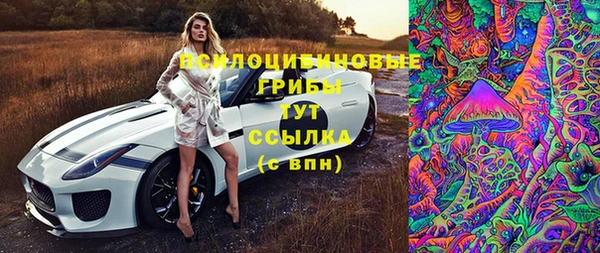 соль ск Алзамай